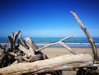 Driftwood on beach against blue sky