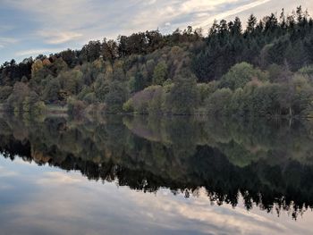 Scenic view of lake in forest against sky