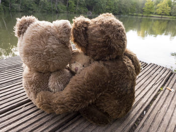 Bear family, father, mother and child sit on a boat dock on a summer evening.