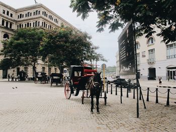 Bicycle on street in city