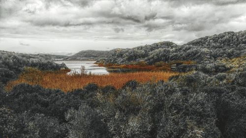 Scenic view of landscape against cloudy sky