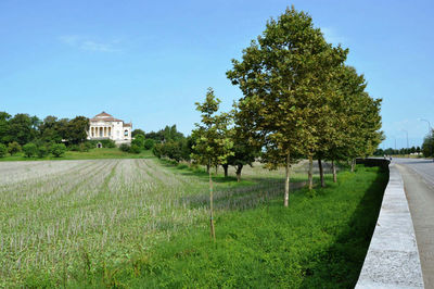 Trees on field by houses against clear sky