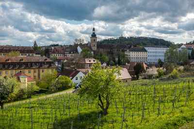 St jakob church by vineyard against cloudy sky