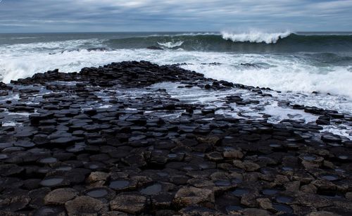 Scenic view of sea shore