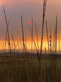 Scenic view of sunset over land