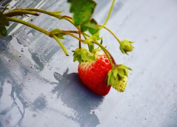 Close-up of strawberry on table