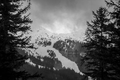 Scenic view of lake by trees against sky