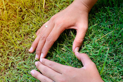 Cropped image of person hand on grass