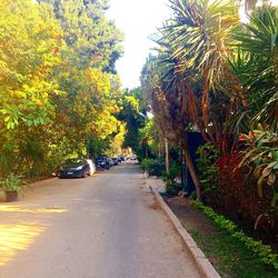 Road amidst trees against sky