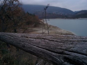 Close-up of driftwood on tree by lake against sky