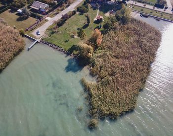 High angle view of river amidst trees