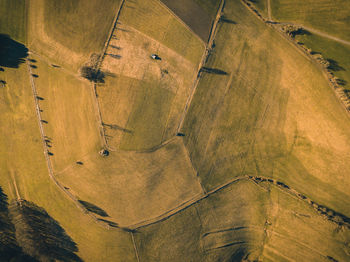 Aerial view of agricultural landscape