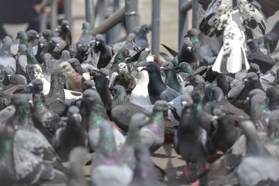 High angle view of garbage on metal in city