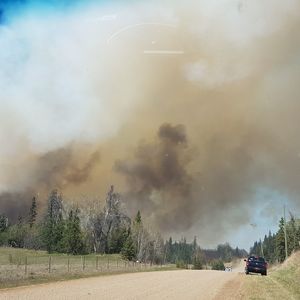 Panoramic view of road amidst trees on field against sky