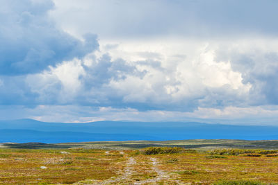 Hiking trail in a moor landscape to the horizon