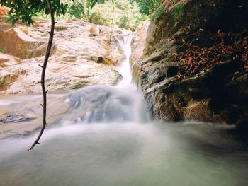 Scenic view of waterfall in forest