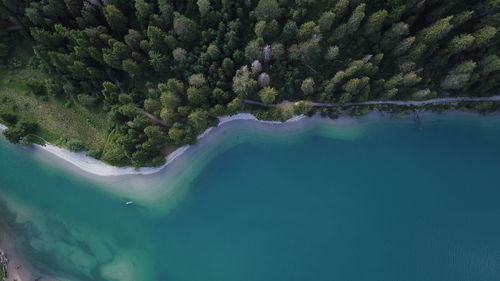 Aerial view of lake by forest