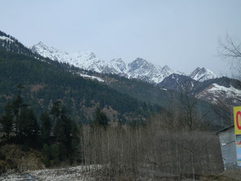 Scenic view of tree mountains against clear sky