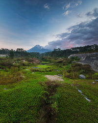 Scenic view of landscape against sky