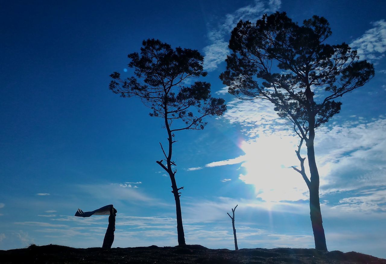 tree, silhouette, tranquil scene, solitude, landscape, tranquility, blue, sky, scenics, nature, sunbeam, beauty in nature, outdoors, sun, growth, remote, day, non-urban scene, countryside, pine tree, tourism, cloud - sky, bright