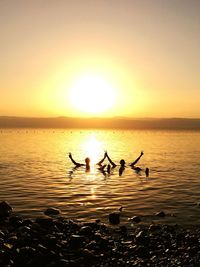 Silhouette birds in sea against sky during sunset