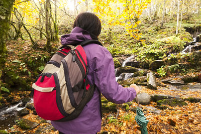 Rear view of female hiker walking in forest during autumn