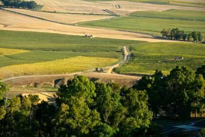 Scenic view of agricultural field