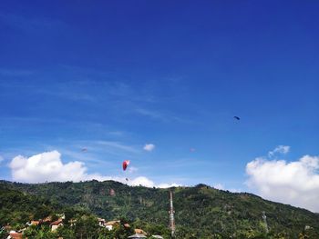 Low angle view of bird flying against blue sky