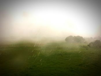 Scenic view of field in foggy weather