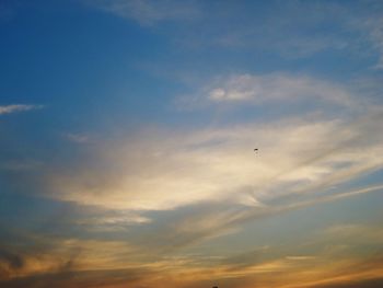 Low angle view of silhouette bird flying against sky