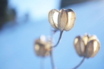 Low angle view of spiral hanging on metal