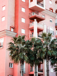 Low angle view of palm tree by building