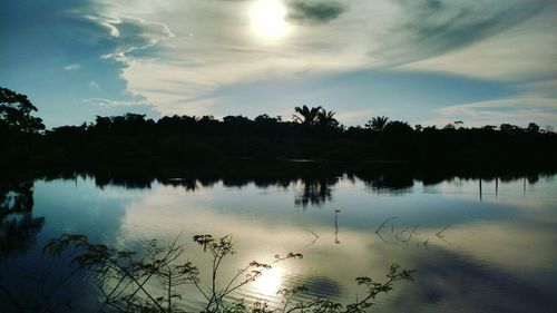 Reflection of trees in water