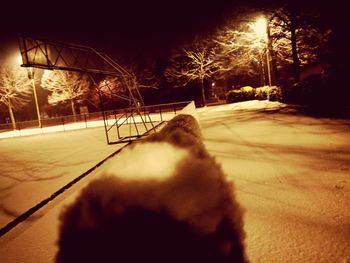 Shadow of person on snow covered tree