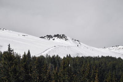 Low angle view of snowcapped mountain against clear sky