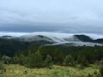 Scenic view of landscape against sky