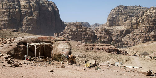 Donkeys at desert against rock formations