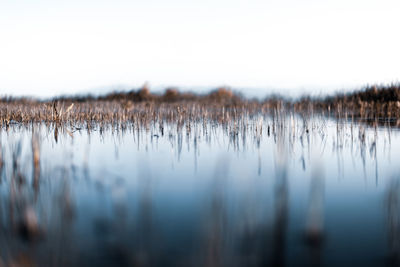 Scenic view of lake against sky during winter