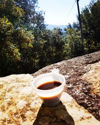 Close-up of coffee on rock by trees against sky