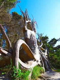 Low angle view of built structure against clear blue sky