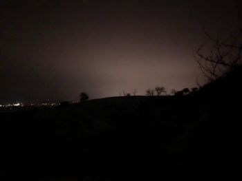 Low angle view of silhouette trees against sky at night