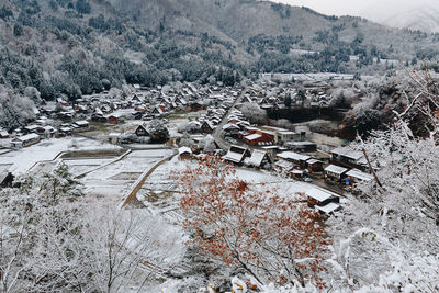High angle view of snow covered trees and buildings