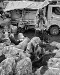 Man working at farm