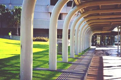 Columns in colonnade