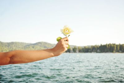 Cropped hand holding flower by lake