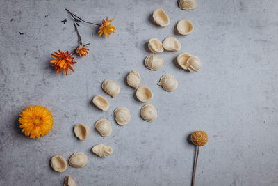 High angle view of pumpkins on floor