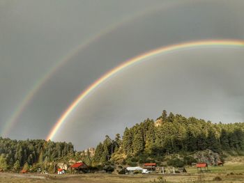 Rainbow over trees against sky