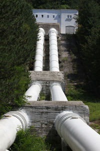 High angle view of pipe against trees