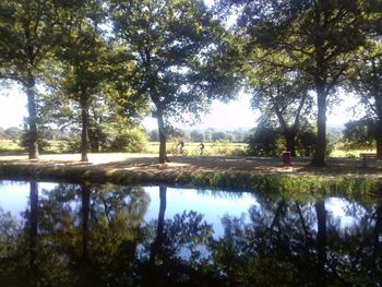 Reflection of trees in lake against sky