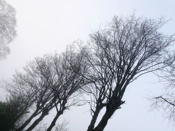 Low angle view of silhouette bare tree against clear sky